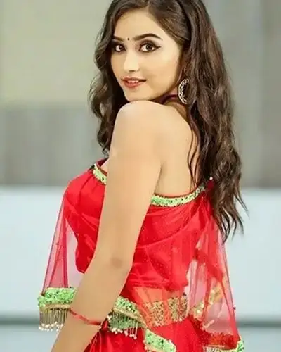 Call Girls Service Dharapuram